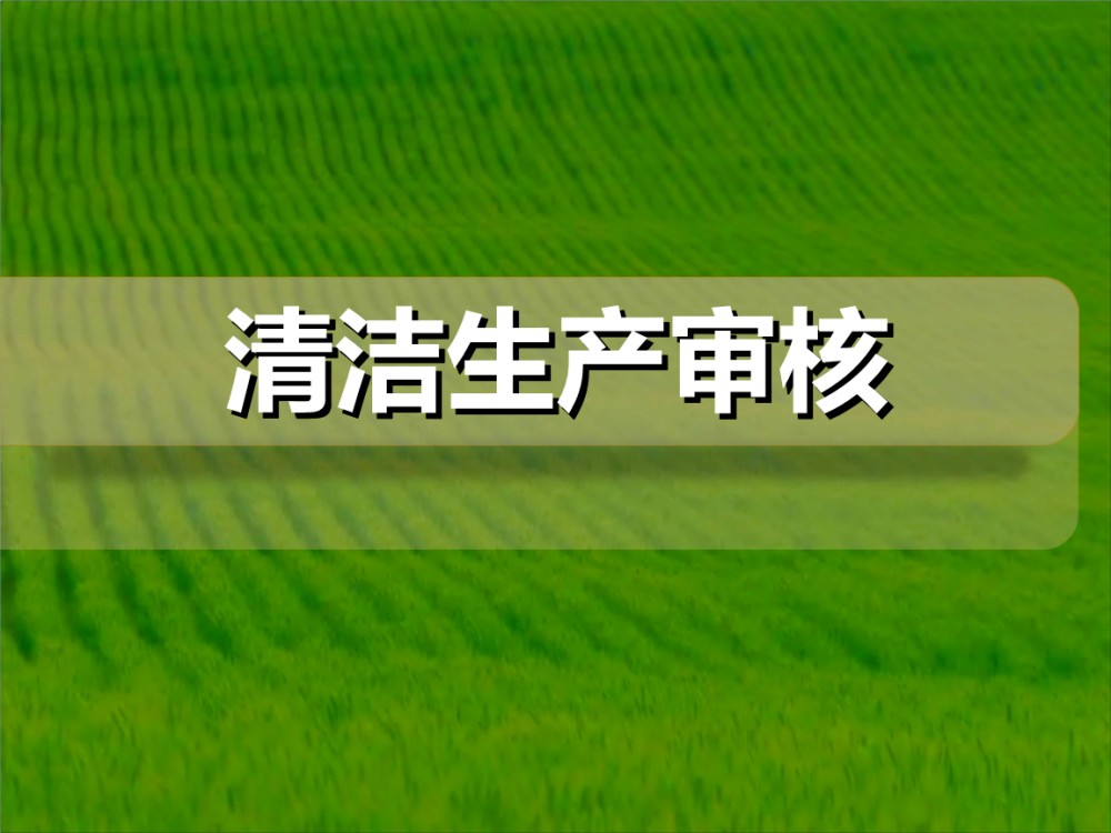 重點清潔生產(chǎn)審核企業(yè)公示信息表